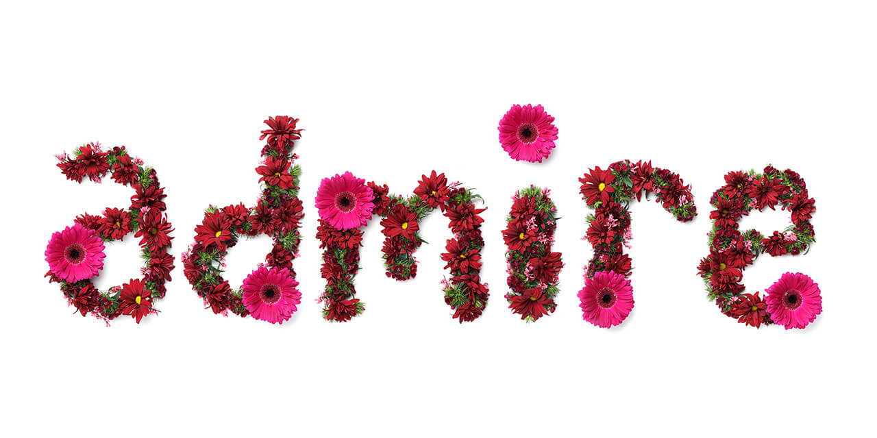 word admire spelled out with flowers